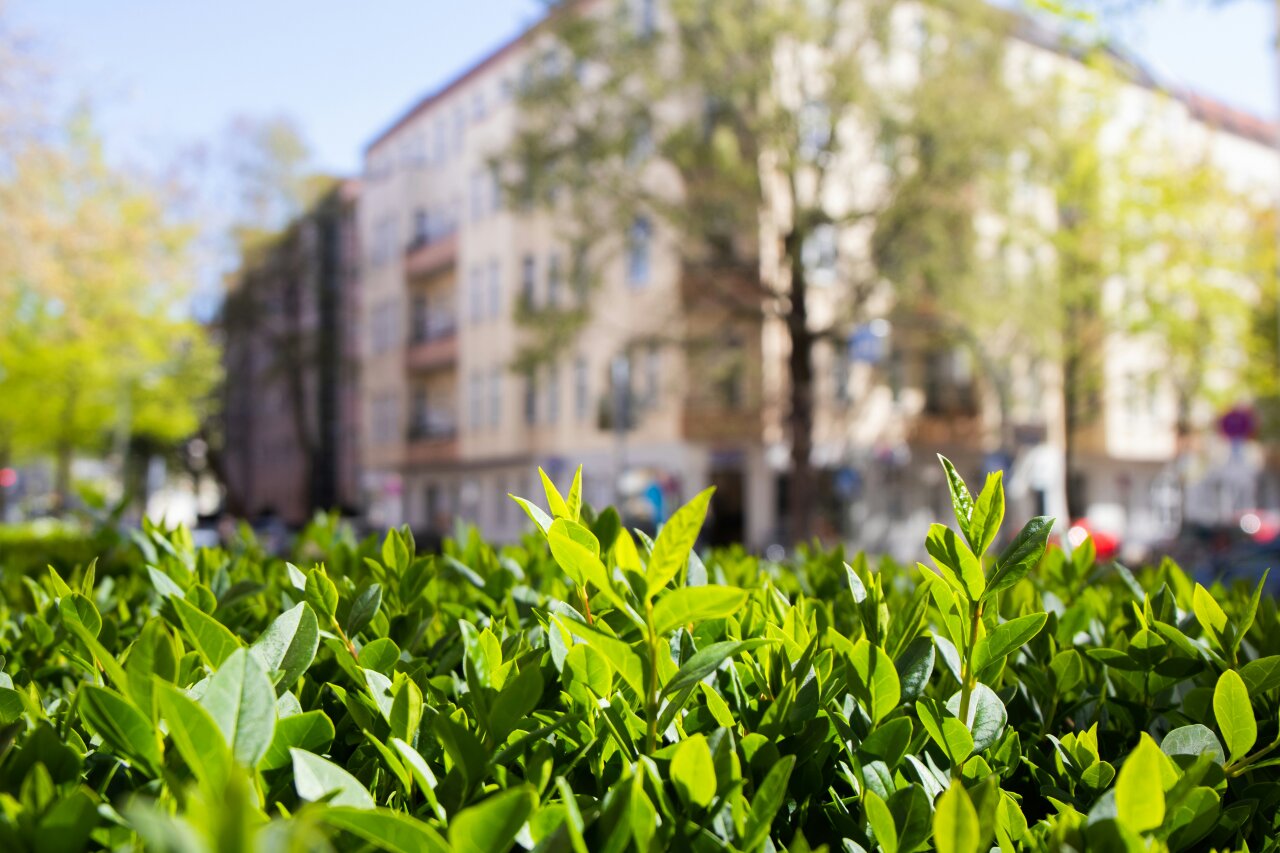 Steuerberatung in Charlottenburg-Wilmersdorf, Berlin